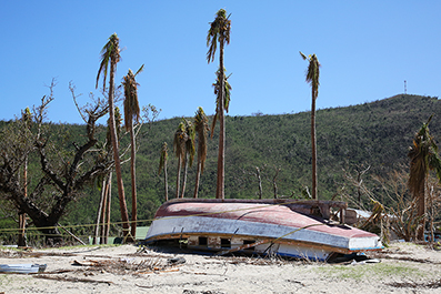 Cyclone Winston : Fiji : 2016 : News : Photos : Richard Moore : Photographer